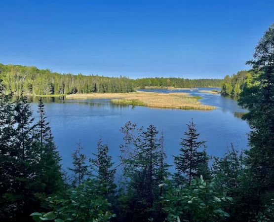 AuSable River Huron National Forest #68