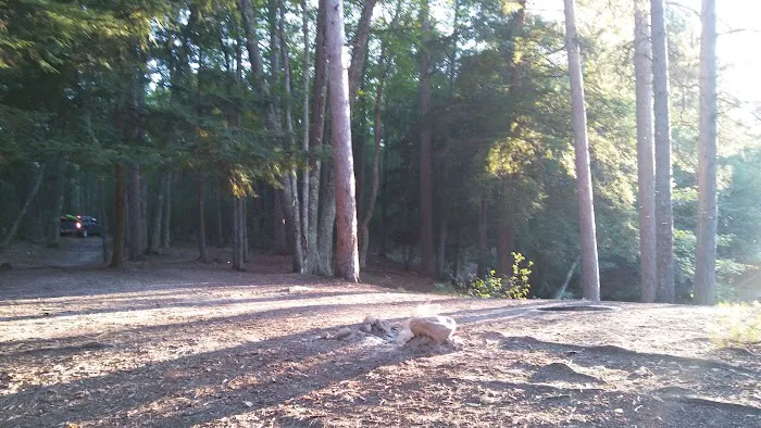 Ausable River Camping MI Site 069W 0