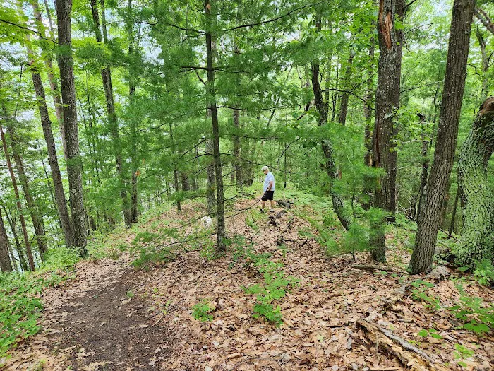 Ausable River Camping, site 070D 2