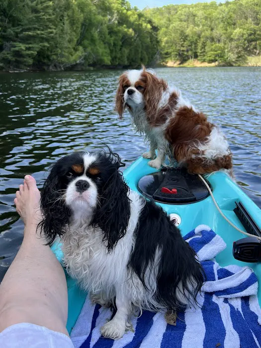 Ausable River Camping, site 070D 9