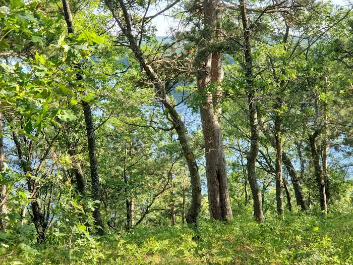 Ausable River Camping - Site 072D 1