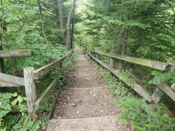 Chase Creek Campground 5