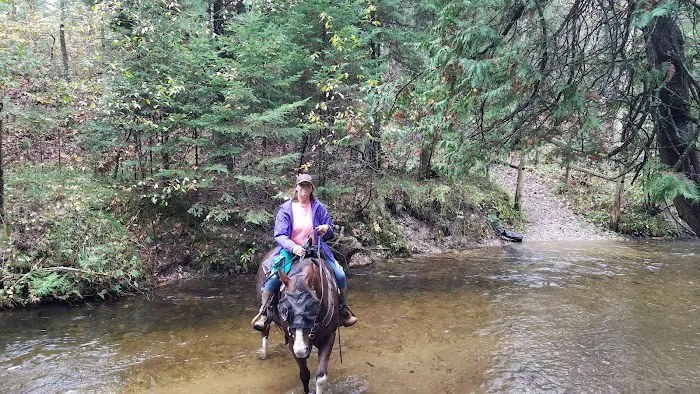 Hopkins Creek Trail Campground 3