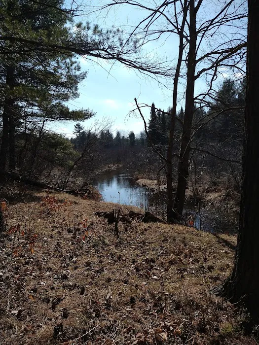 Hopkins Creek Trail Campground 9