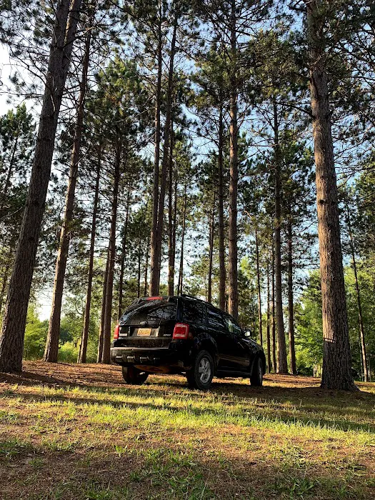 Manton Trails RV Park & Campground 4