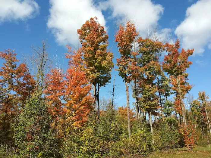 Chippewa Landing 8