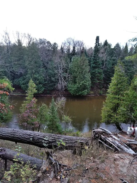 Old US 131 State Forest Campground 2