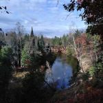 Old US 131 State Forest Campground