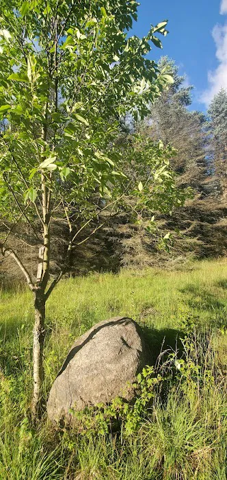 Camp Stonewood Ranch 3