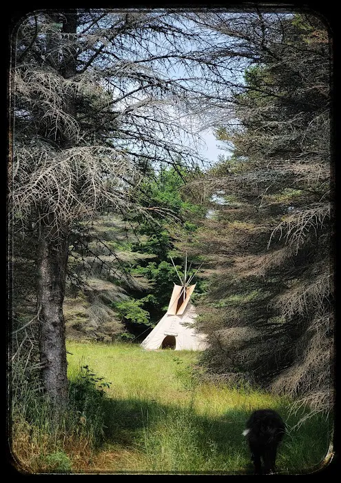 Camp Stonewood Ranch 8