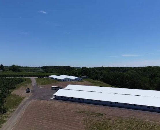 Campo Manzana