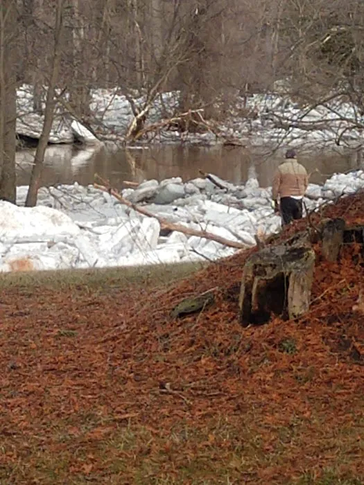 Crystal Creek Campground 9