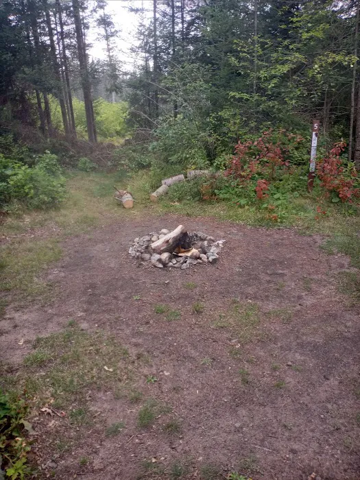 Campsite 5C Ausable River Camping 1