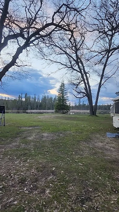 Campsite 6D AuSable River Rustic 4