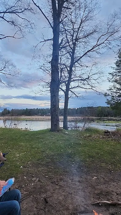 Campsite 6D AuSable River Rustic 5