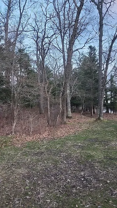 Campsite 6D AuSable River Rustic 3