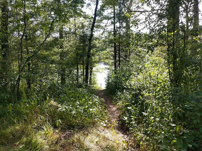Horseshoe Lake Campground 4