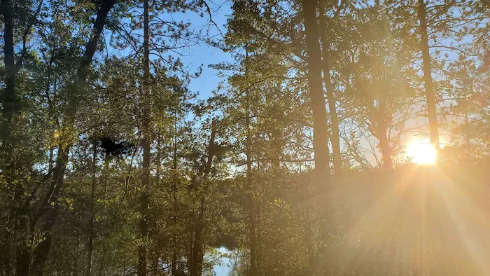 Horseshoe Lake Campground 9