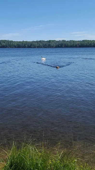 Alcona Park 7