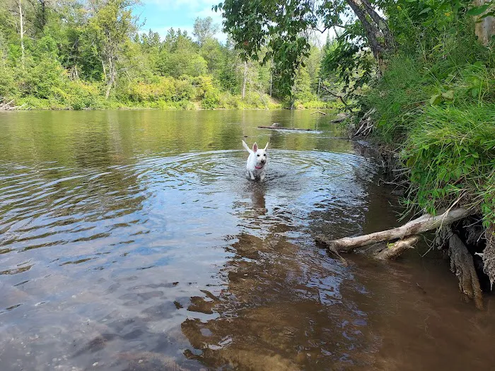 Parmalee Bridge State Forest Campground 2