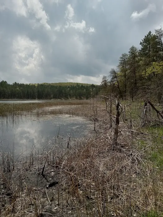 Wagner Lake Campground 5