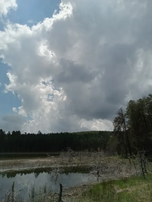 Wagner Lake Campground 8
