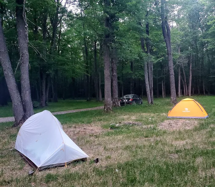 Luzerne Trail Camp 0