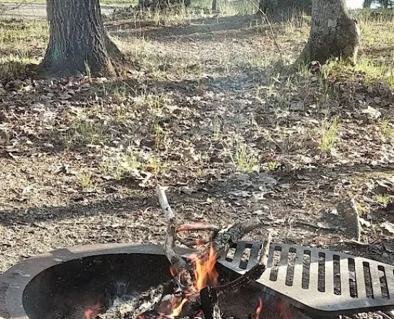 Island Lake Campground