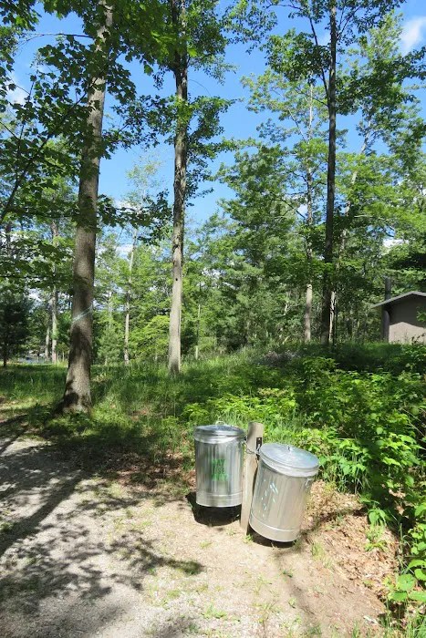 Island Lake Campground 3
