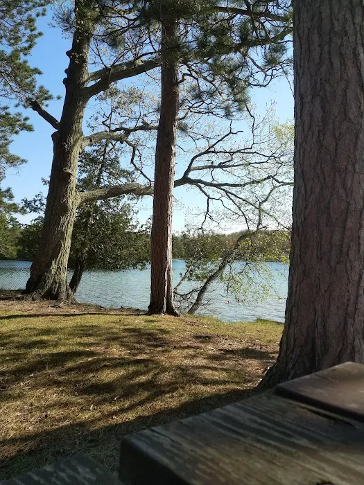 Island Lake Campground 7
