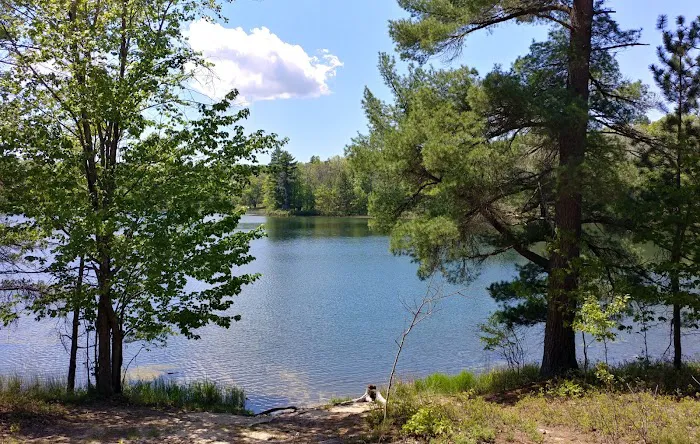 Town Corner Lake State Forest Campground 0