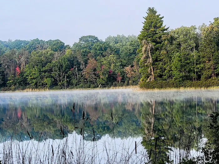 Town Corner Lake State Forest Campground 7