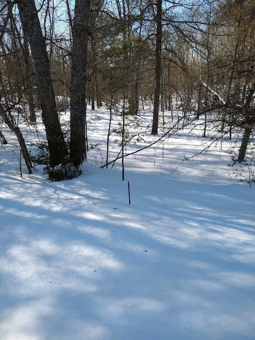 Ess Lake State Forest Campground 0