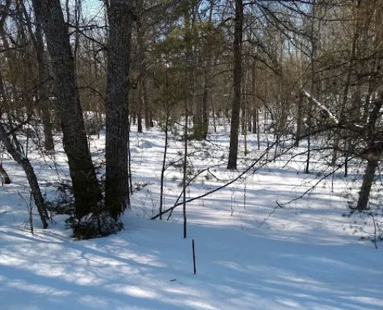 Ess Lake State Forest Campground