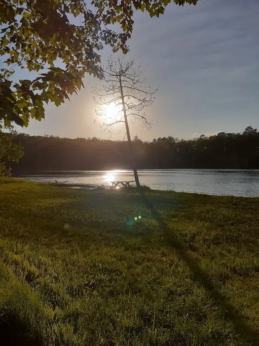 Ess Lake State Forest Campground 4