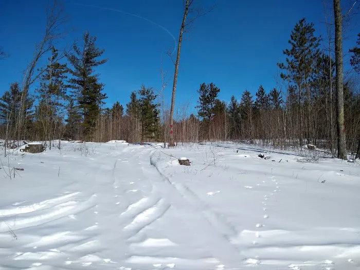 Ess Lake State Forest Campground 6