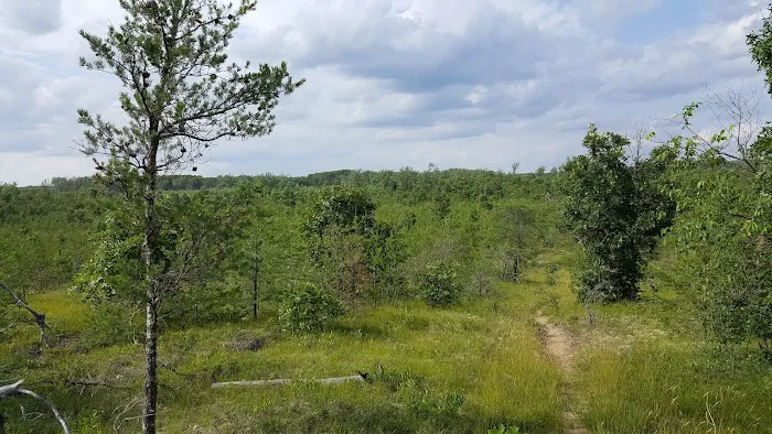 Tomahawk Lake State Forest Campground 0