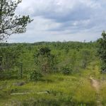 Tomahawk Lake State Forest Campground