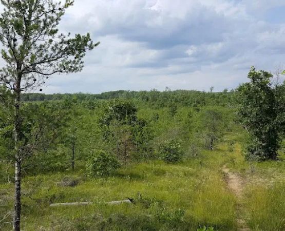 Tomahawk Lake State Forest Campground