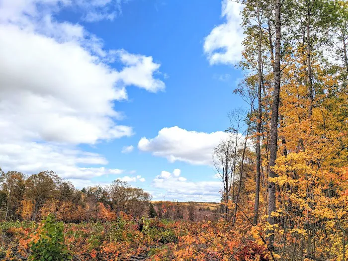Tomahawk Lake State Forest Campground 6