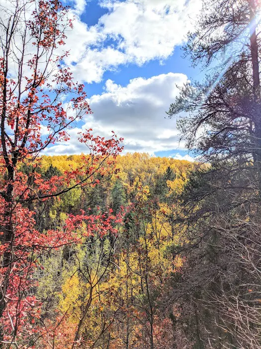 Tomahawk Lake State Forest Campground 7