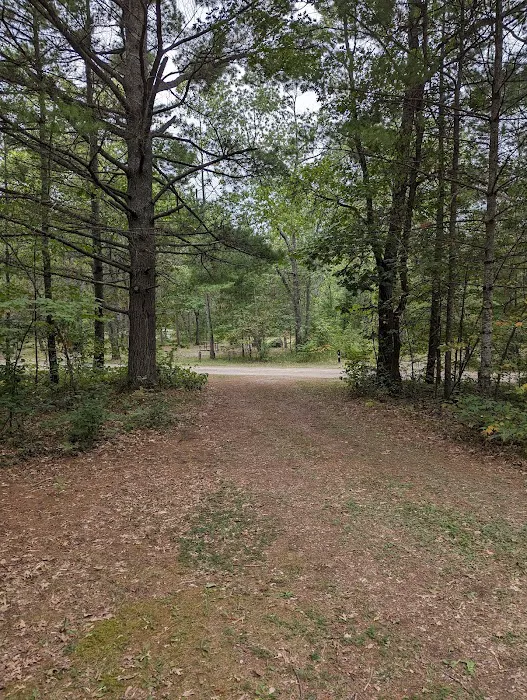 Shoepac Lake State Forest Campground 5