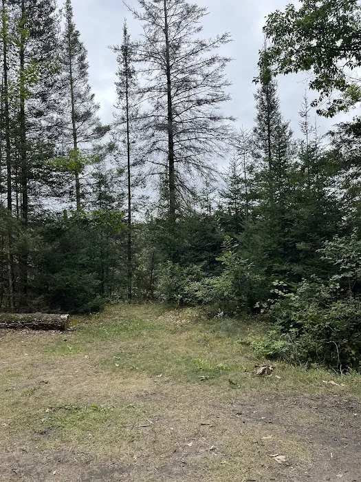 Ausable River Camping 08W 4