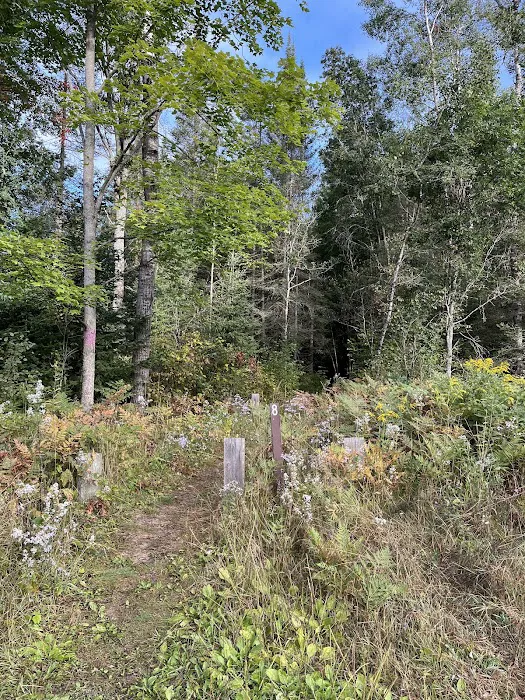 Ausable River Camping 08W 8