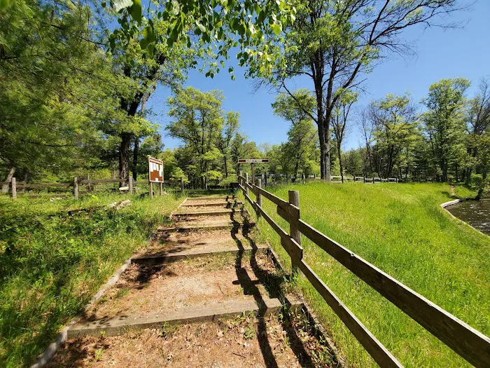Rainbow Bend State Forest Campground 8