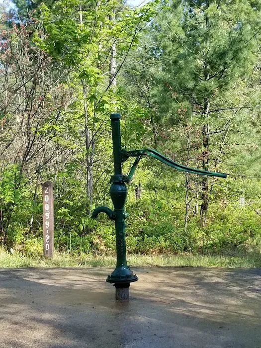 Jones Lake State Forest Campground 7