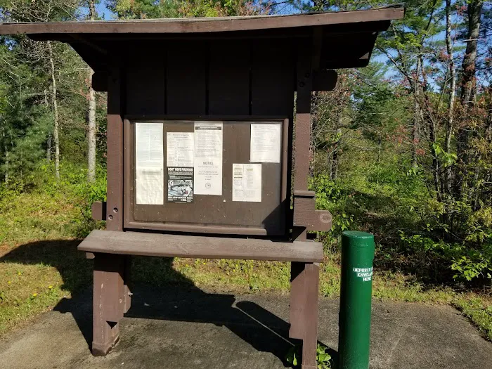 Jones Lake State Forest Campground 4