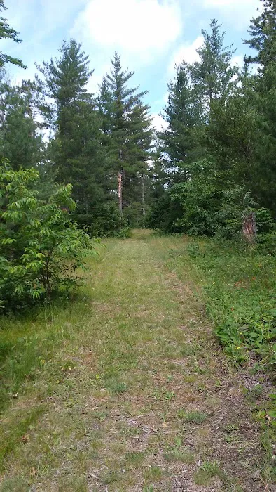 Jones Lake State Forest Campground 8