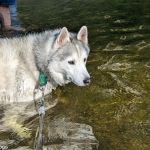 Indian Reserve Campground