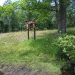 White Pine Canoe Campground